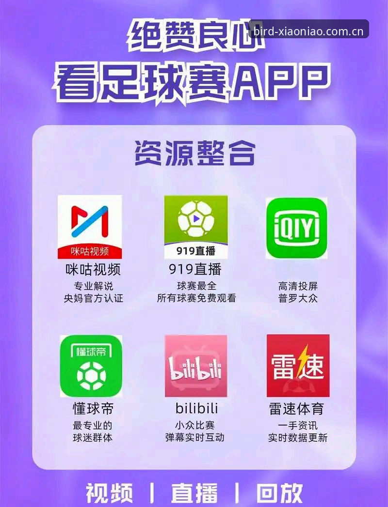 最新小鸟体育app官方版 小鸟体育官网 vs 最新小鸟体育app官方版:哪个才是体育互动体验的终极选择?