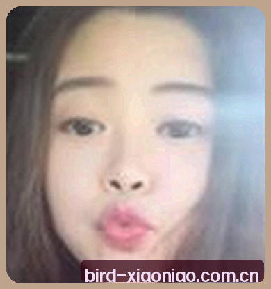 赵雷